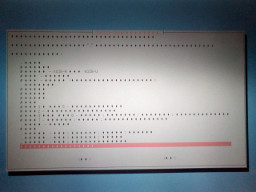 A terminal display filled mostly by diamonds, representing characters unable to be shown.